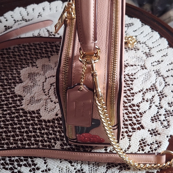 COACH X TOM WESSELMANN BOX LEATHER NWT CROSSBODY/HANDBAG PINK - Picture 5 of 13